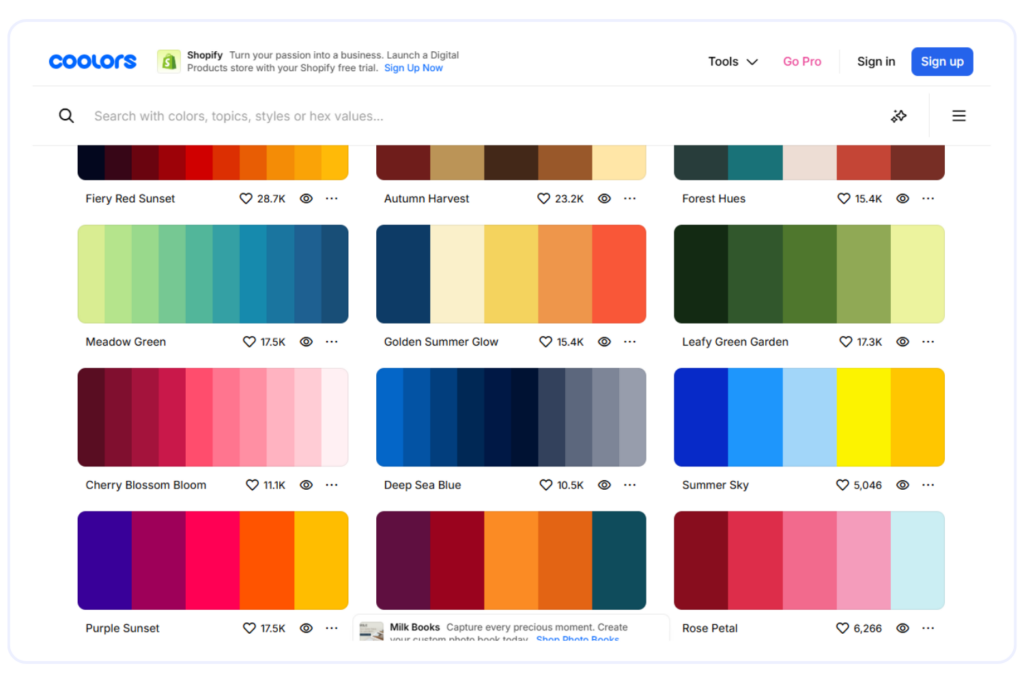 Coolors Trending Color Palettes
